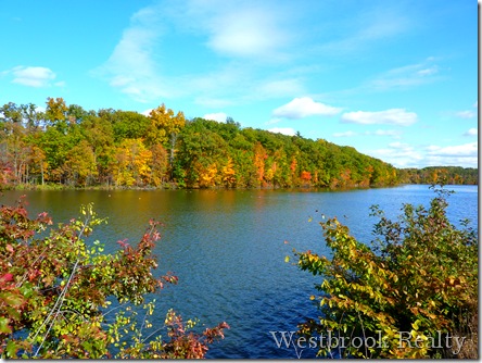 Thornapple River Ada MI